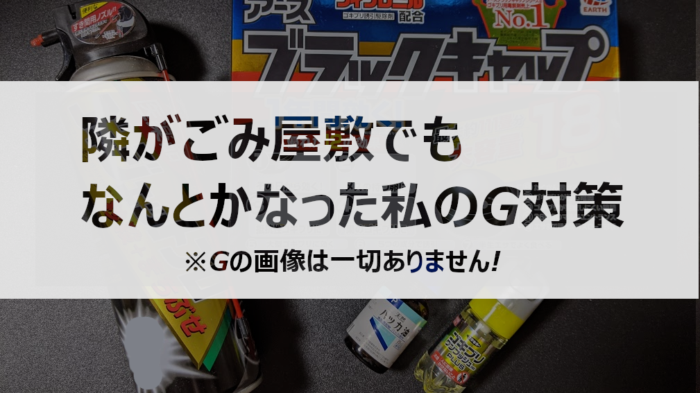 Read more about the article ゴキブリ対策。隣がゴミ屋敷でもなんとかなりました！！