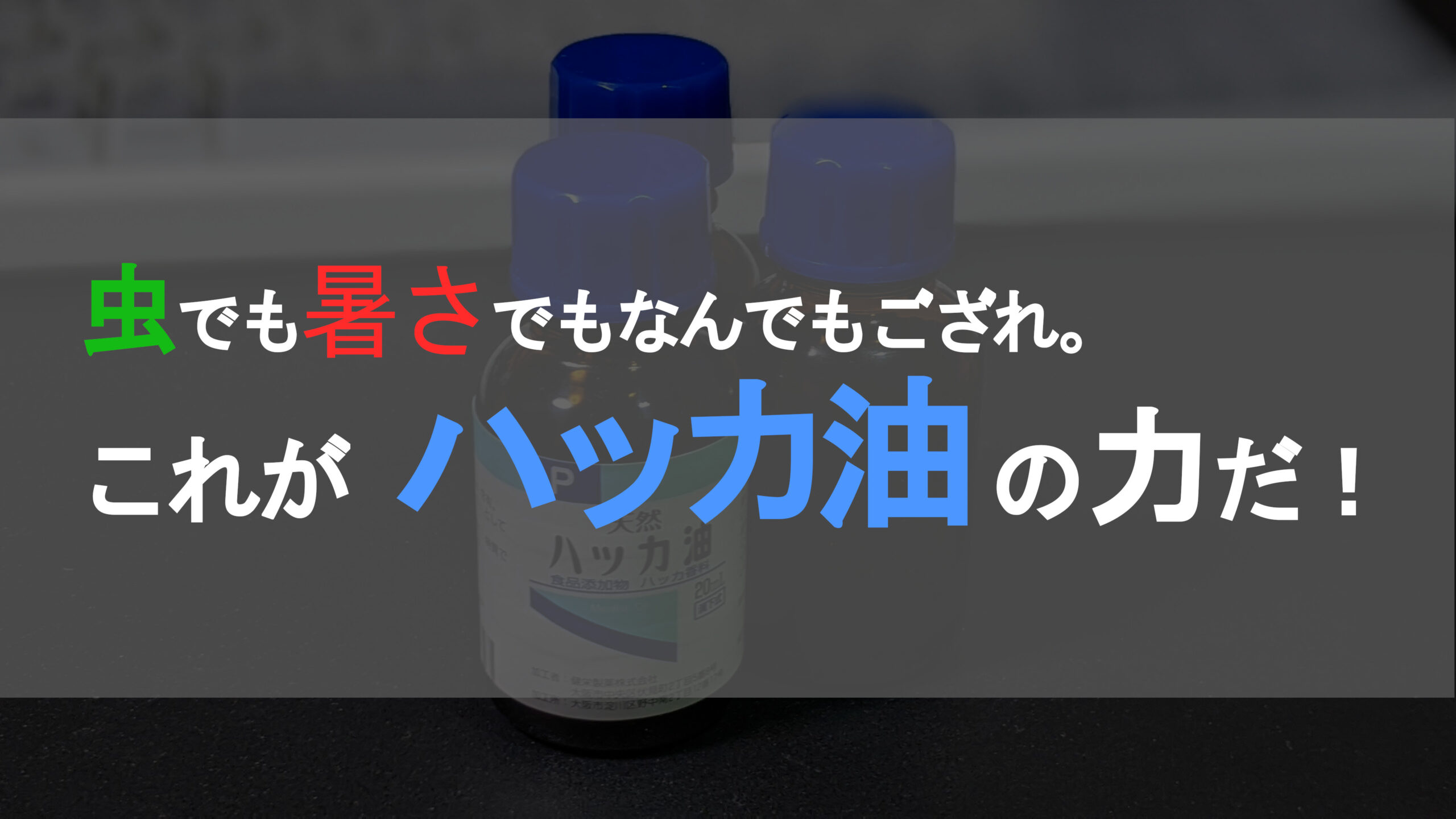 Read more about the article 虫でも暑さでもなんでもござれ。これがハッカ油の力だ！