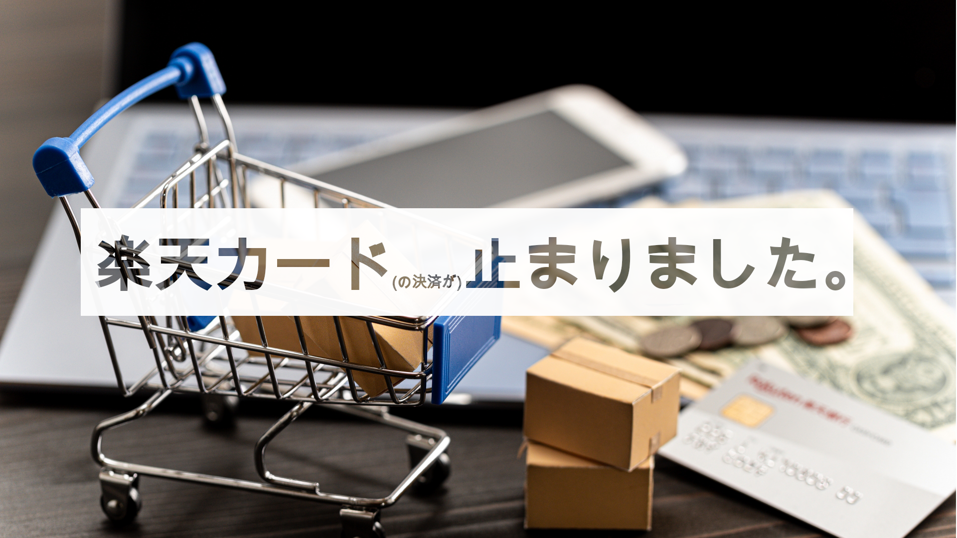 Read more about the article 楽天カードでお買い物できなかったのでチャットで問い合わせしたの段 (G12)